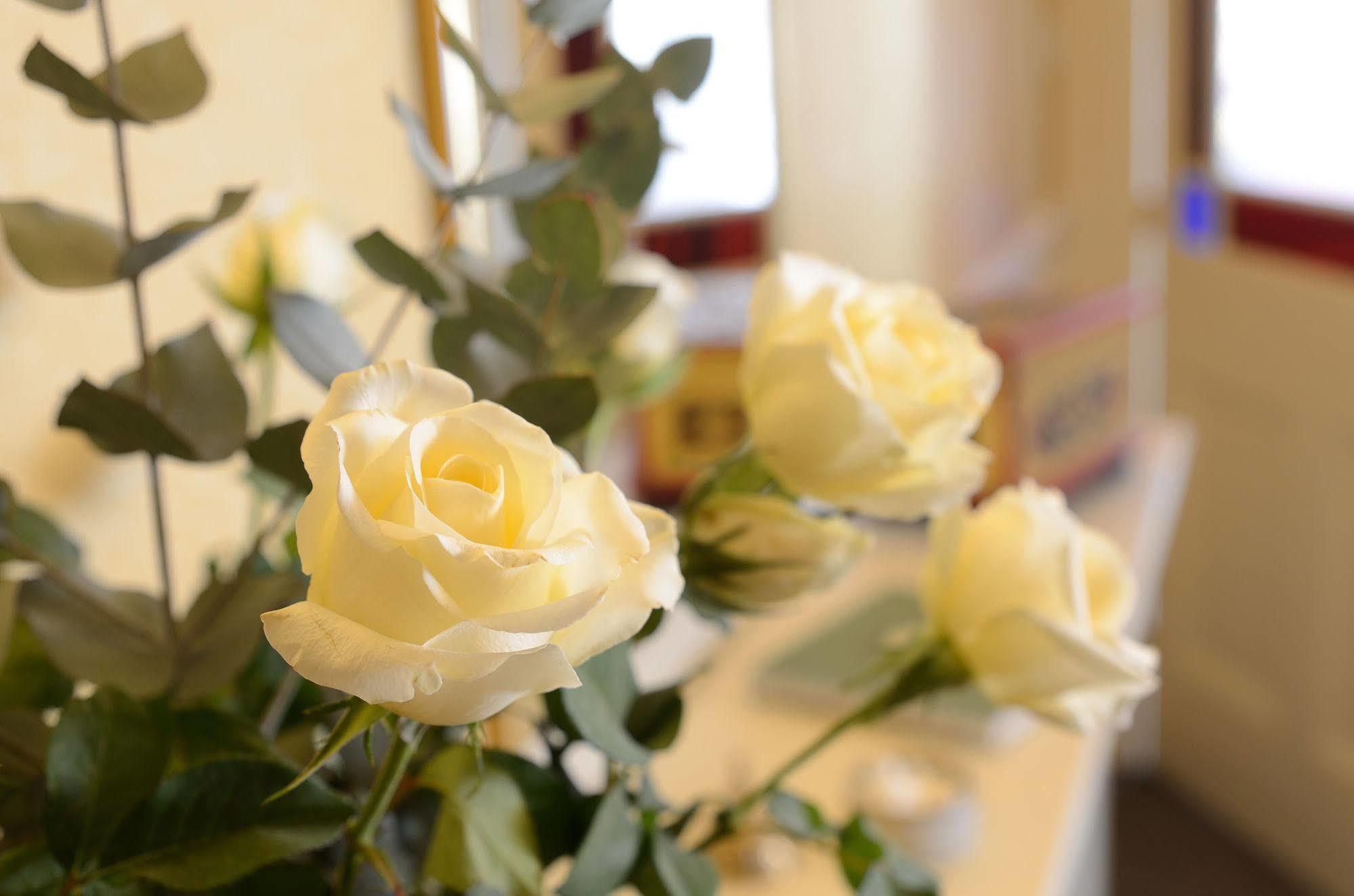 Crosby Bed & Breakfast Penrith Exteriér fotografie